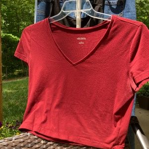 Garnet V-Neck Crop Top